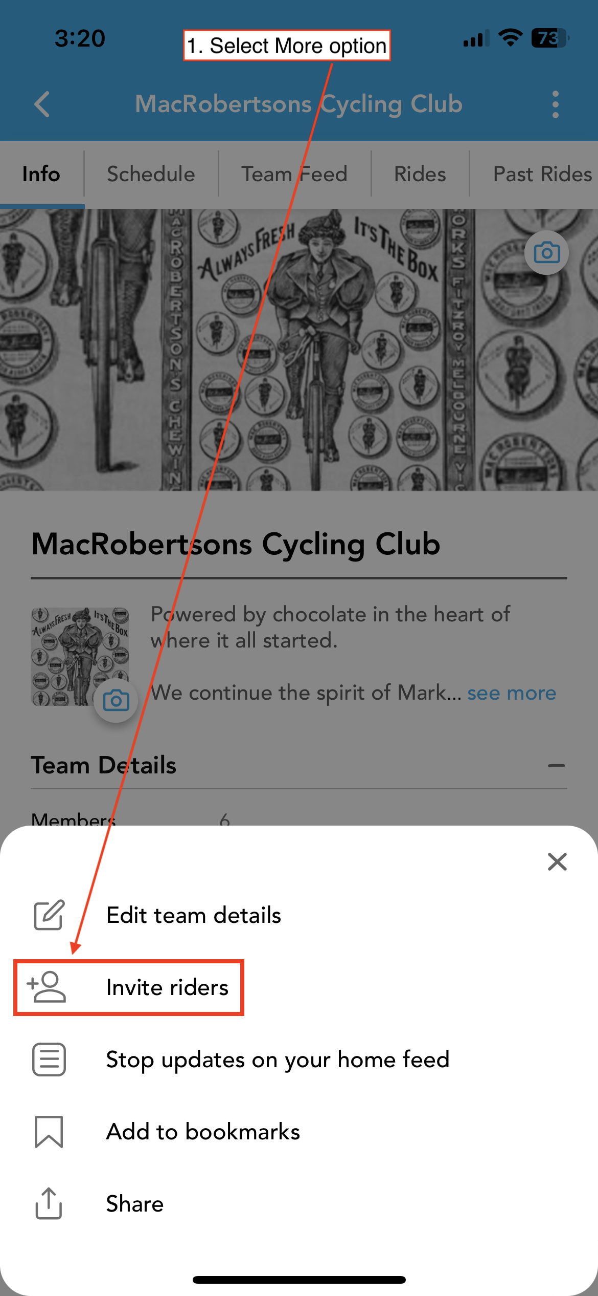 TeamInviting members_1.PNG